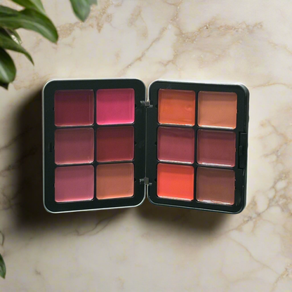 CARLA SECRET CREAM BLUSH AND CONCEALER PALETTE.