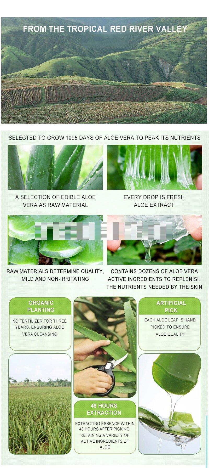 Dr. Rashel Aloe Vera Cleansing Mousse